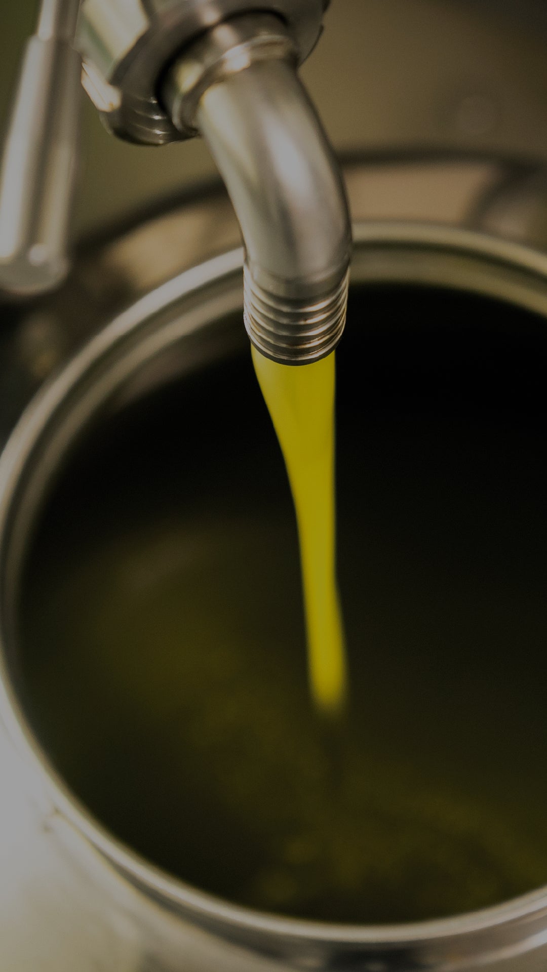 Conheça a oleuropeína, o antioxidante presente no azeite de oliva!